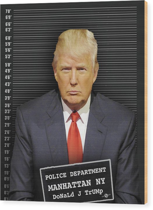 Donald Trump Mugshot - Wood Print