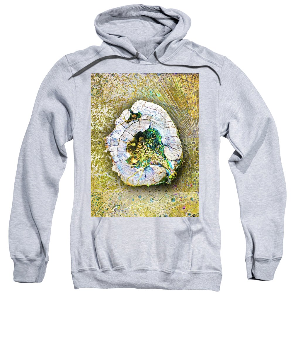 Earth - Sweatshirt