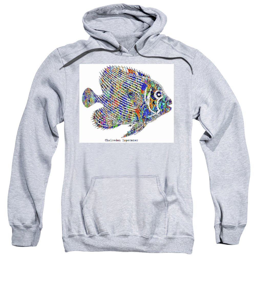 Fish Study 1 - Sweatshirt