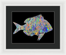 Fish Study 2 - Framed Print