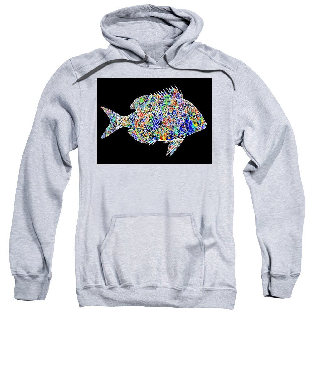 Fish Study 2 - Sweatshirt
