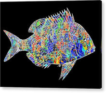 Fish Study 2 - Acrylic Print