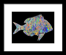 Fish Study 2 - Framed Print