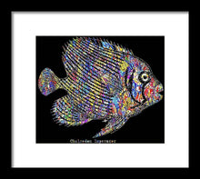 Fish Study 3 - Framed Print
