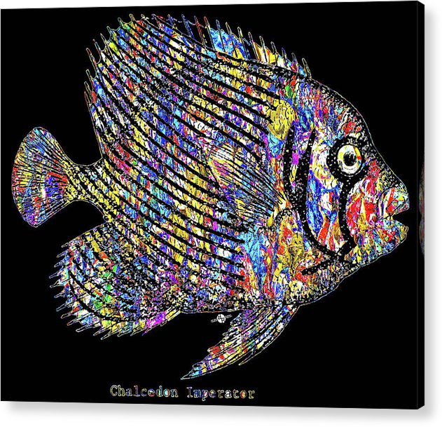 Fish Study 3 - Acrylic Print