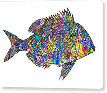Fish Study 4 - Canvas Print