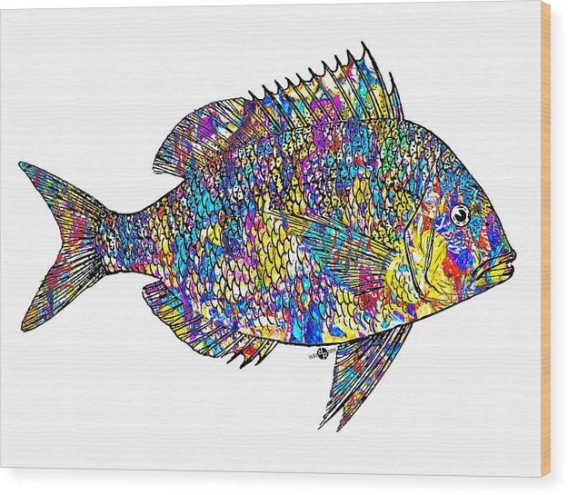 Fish Study 4 - Wood Print