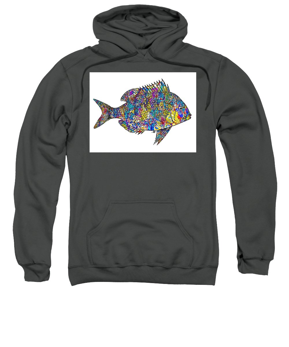 Fish Study 4 - Sweatshirt