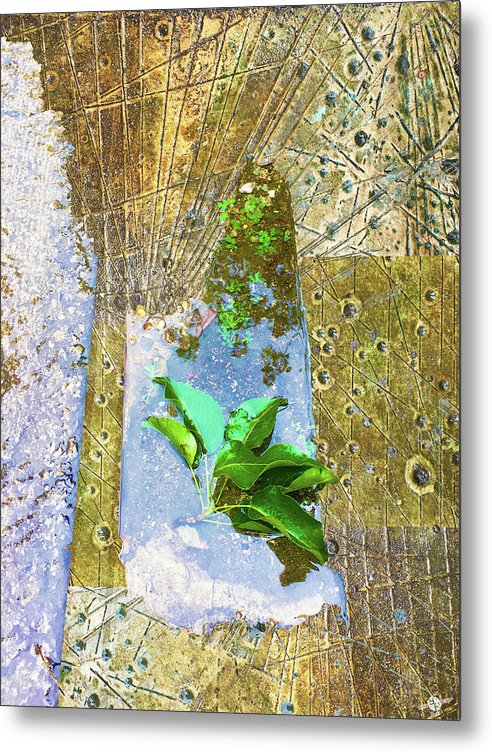 Leaves In Water - Metal Print
