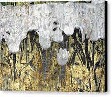 Lilies - Canvas Print