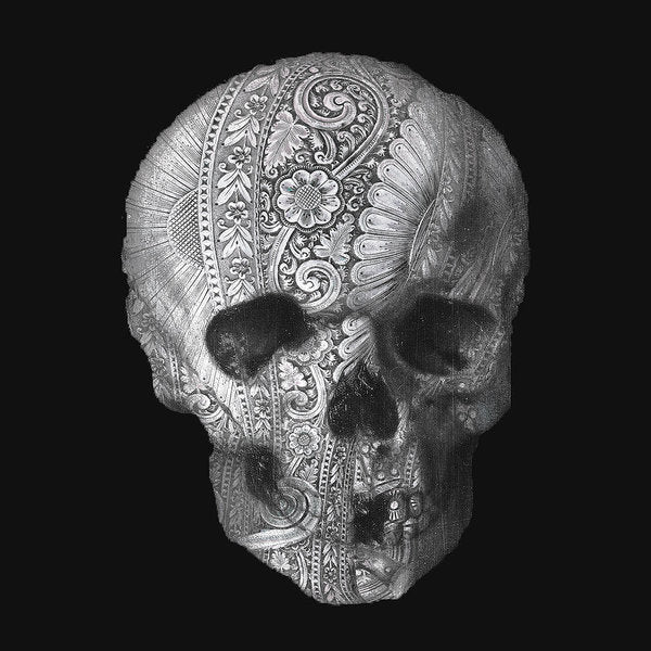 Metal Skull - Art Print