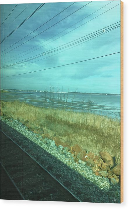 New Jersey From The Train 1 - Wood Print