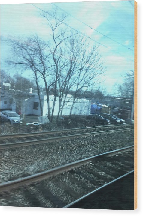New Jersey From The Train 4 - Wood Print