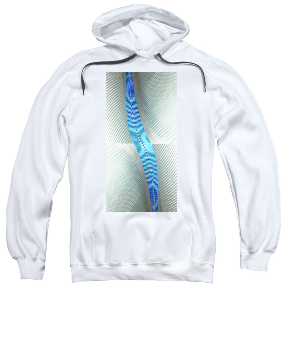 Path - Sweatshirt