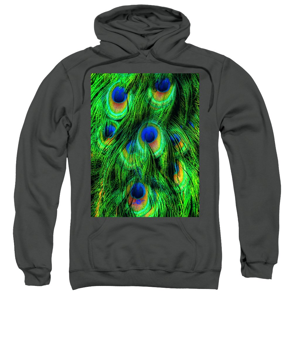 Peacock Or Flower 2 - Sweatshirt