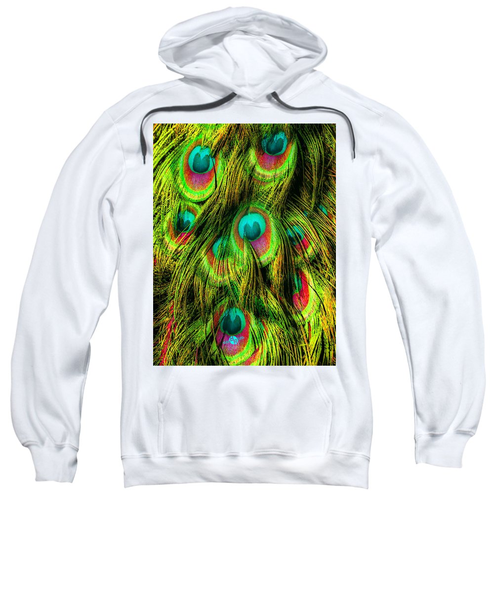 Peacock Or Flower 3 - Sweatshirt
