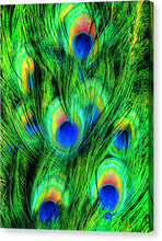 Peacock Or Flower 4 - Canvas Print