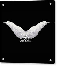 Rise White Wings - Acrylic Print Acrylic Print Pixels 8.000" x 8.000" Aluminum Mounting Posts 