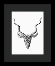 Rubino Buck Horns - Framed Print Framed Print Pixels 7.500" x 10.000" Black Black
