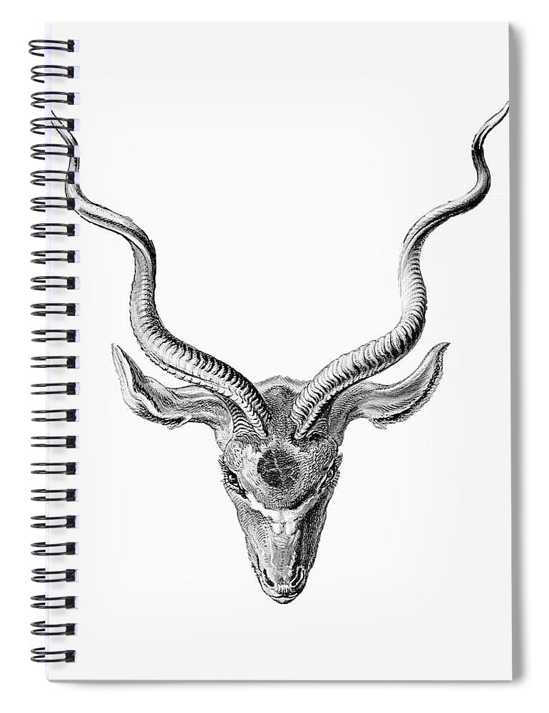 Rubino Buck Horns - Spiral Notebook Spiral Notebook Pixels 6