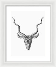 Rubino Buck Horns - Framed Print Framed Print Pixels 12.000" x 16.000" White White