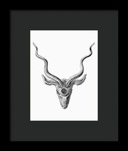 Rubino Buck Horns - Framed Print Framed Print Pixels 6.000" x 8.000" Black Black