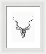 Rubino Buck Horns - Framed Print Framed Print Pixels 7.500" x 10.000" White White