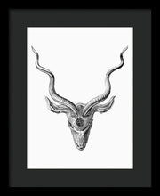 Rubino Buck Horns - Framed Print Framed Print Pixels 10.500" x 14.000" Black Black