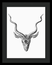 Rubino Buck Horns - Framed Print Framed Print Pixels 15.000" x 20.000" Black Black