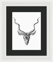 Rubino Buck Horns - Framed Print Framed Print Pixels 9.000" x 12.000" White Black