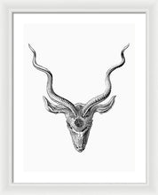 Rubino Buck Horns - Framed Print Framed Print Pixels 18.000" x 24.000" White White