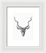 Rubino Buck Horns - Framed Print Framed Print Pixels 6.000" x 8.000" White White