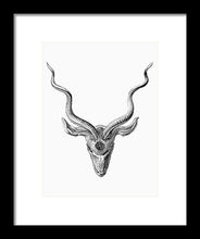 Rubino Buck Horns - Framed Print Framed Print Pixels 7.500" x 10.000" Black White