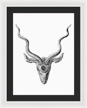 Rubino Buck Horns - Framed Print Framed Print Pixels 18.000" x 24.000" White Black
