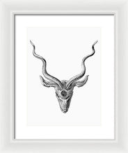Rubino Buck Horns - Framed Print Framed Print Pixels 10.500" x 14.000" White White