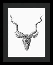 Rubino Buck Horns - Framed Print Framed Print Pixels 12.000" x 16.000" Black Black