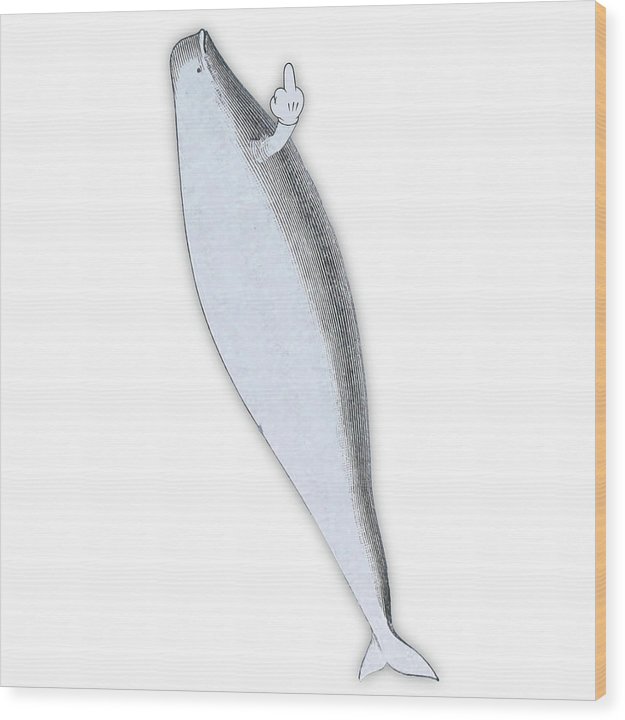 Rubino Whale Finger - Wood Print