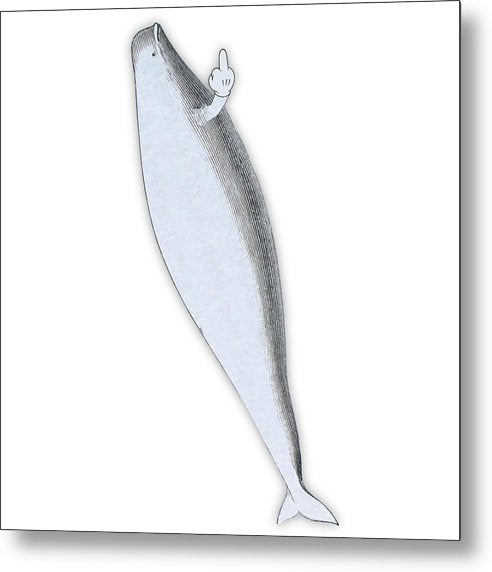 Rubino Whale Finger - Metal Print