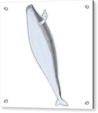 Rubino Whale Finger - Acrylic Print