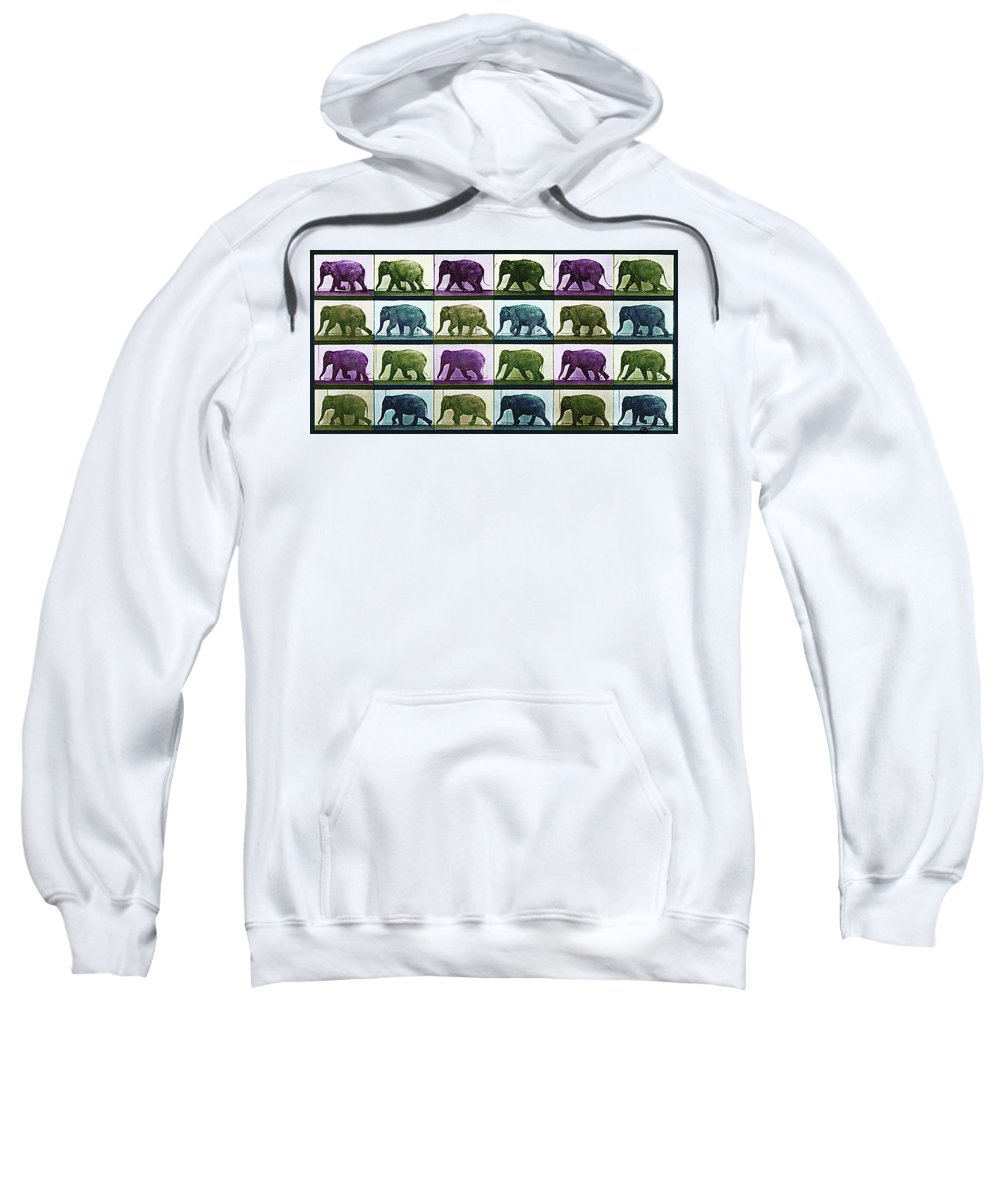 Time Lapse Motion Study Elephant Color - Sweatshirt