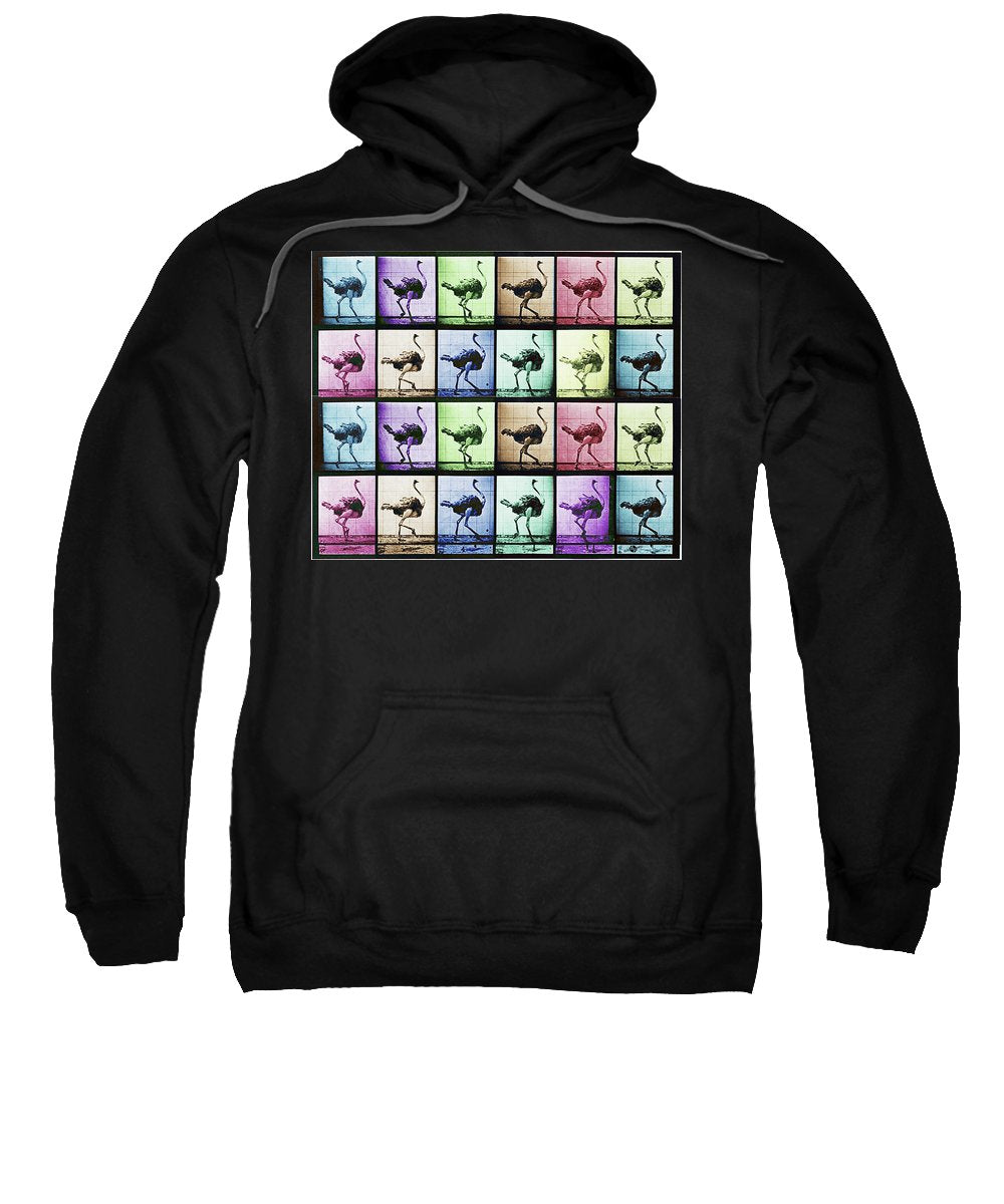 Time Lapse Motion Study Ostrich Color - Sweatshirt
