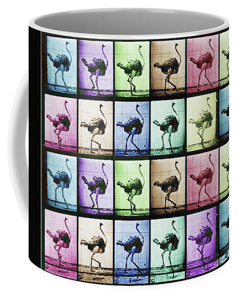 Time Lapse Motion Study Ostrich Color - Mug